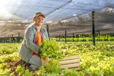 Financiamento para mulheres ganha protagonismo no Agroamigo do BNB