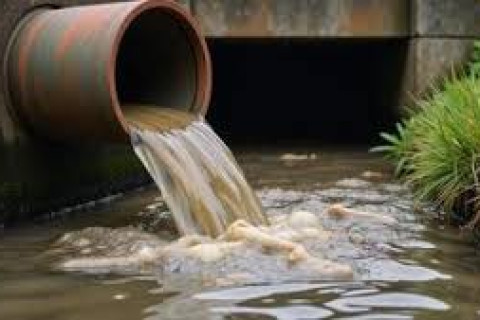 Tecnologia única transforma óleo de cozinha usado em solução ecológica