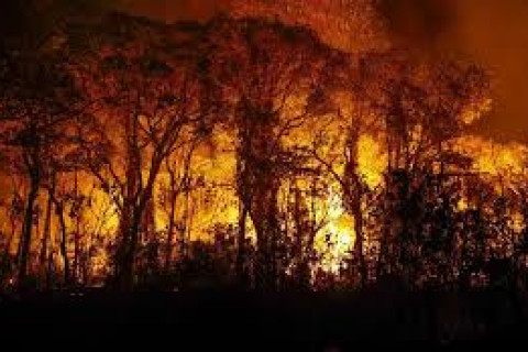 Crime ambiental: governo envia nesta terça (15) PL que endurece penas Proposta será entregue pelo Ministério da Justiça e Segurança Pública