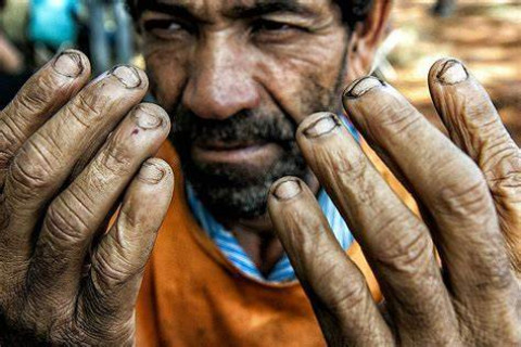 Apesar de avanços, trabalho análogo à escravidão no país ainda é alto Número de resgatados no Brasil em 2024 passou de dois mil