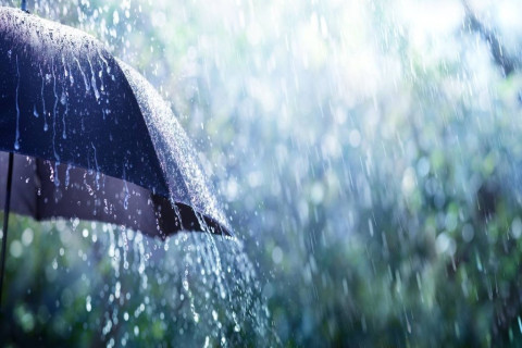 Inmet: chuva do verão não foi suficiente para repor estoque de água Volume de chuva foi abaixo do esperado no Pantanal e no Sul no país