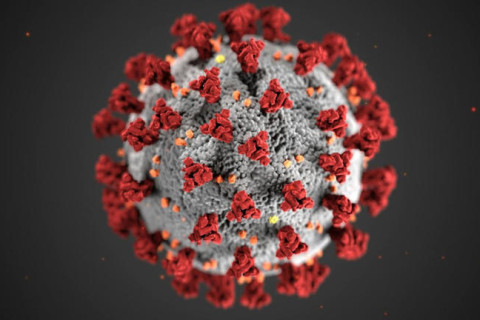 Infectologista: Não há perigo de novo coronavírus causar danos a humanos