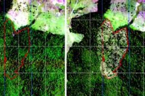 BNDES usa imagens de satélite para barrar empréstimo a desmatadores
